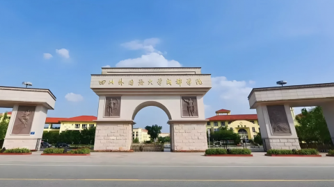 金融投资风险管理实验实训平台